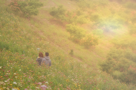 Asian couple use selfie stick take photp of themselve in middle of flower field in foggy day,winter in north of thailand,travel concept.のeditorial素材