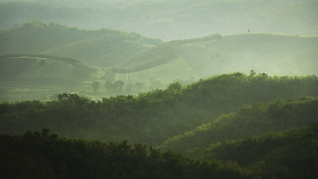 Dreamy mountain and forest landscape in early morning 