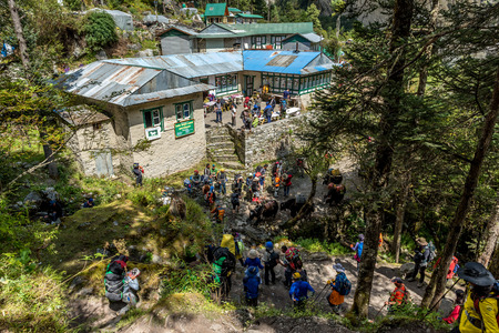 Trekker walk on way to Mt.everest base camp in Khumbu area,Nepal
namche bazar,namcheのeditorial素材