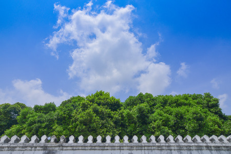garden exterior environment landscape design wallpaper pattern concept of green tree and old white concrete palace wall frame on blue sky background with empty copy space for textの写真素材