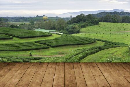 Wood floor perspective view with tea plantation farm and view of mountain and hot air balloon in background.の写真素材