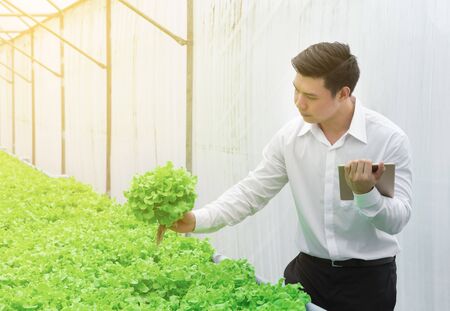 Young men Asian scientist check the quality control of the Agriculture food, young business entrepreneur product new generation farmer concept.の写真素材