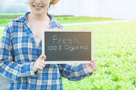 Small business entrepreneur concept : Portrait photo of young attractive beautiful Asian woman harvesting fresh vegetable salad from her hydroponics farm hand hold blackboard with space for wording.の写真素材