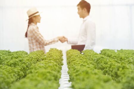 Focused on green oak organic vegetable farm with blurred of businessman hand check with asian farmer gardener woman in background,Small business entrepreneur and organic vegetable farm and healthy.の写真素材