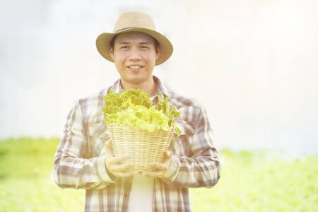 Happy Asian farmer gardener man hand hold basket of fresh green oak organic vegetable in greenhouse hydroponic organic farm,Small business entrepreneur conceptの写真素材