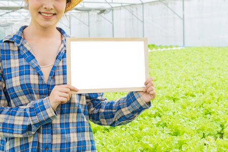 Empty small white board on green vegetable in Hypogenic organic farm with part of asian man and woman standing beside green lettuce farm in background,Small business entrepreneur conceptの写真素材