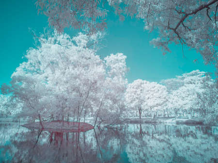 Beautiful view point of Nang Yuan island, the popular tourist destination near Samui island in gulf of Thailand.の写真素材