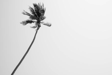 Beautiful View Of Tropical Beach And Seascape In Thailandの写真素材