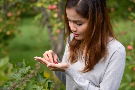Young beautiful Asian woman harvesting fresh berries in natureの写真素材