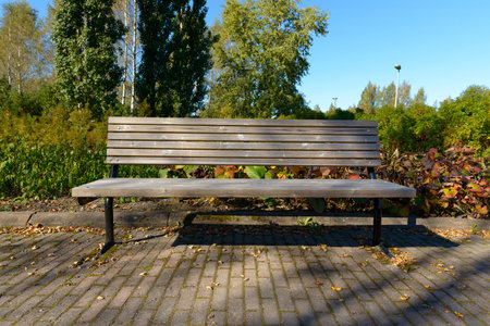 Portrait of old wooden bench cemented on brick floor with tall green trees in the park