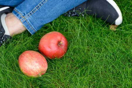 Woman sitting next to apples in nature outdoorsの写真素材