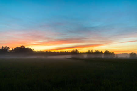 Beautiful scenery of foggy grass field in the break of dawnの写真素材