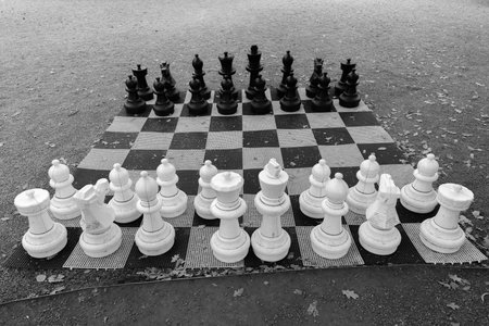 Portrait of big chess board at the park outdoors