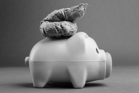 Profile View Of Piggy Bank With Animal Poop