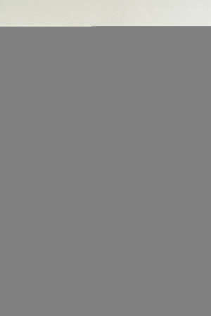 Full length portrait of handsome young Indian man smiling against plain backgroundの写真素材