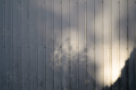 Shadow of a tree on a white wooden wall. Abstract background outdoors.