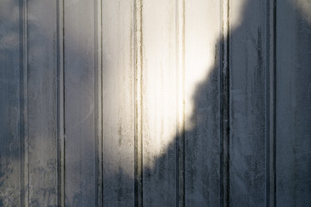 Shadow of a tree on a white wooden wall. Abstract background outdoors.