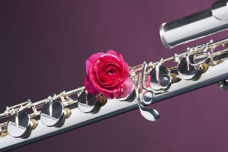 A silver bass flute with a red rose against a dark background in the horizontal format.の写真素材