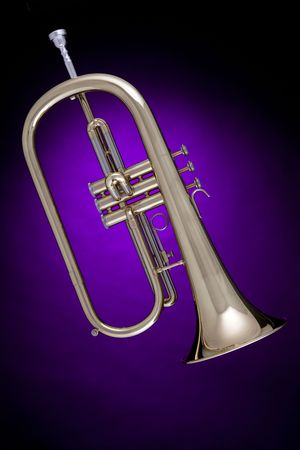 A complete flugelhorn or flugel-horn isolated against a spotlight purple background.の写真素材
