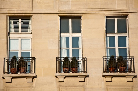 The decoration of jardinere at the window in parisの写真素材
