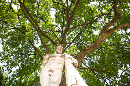Beautiful classical statue in the Tuileries Garden, Paris, France with tree backgroundの写真素材