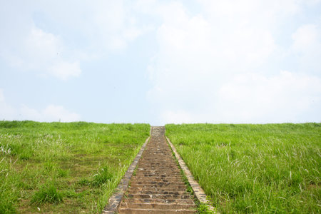 Walkway path with the lawn with blue sky