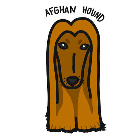 Afghan hound dog cartoon doodle styleのイラスト素材