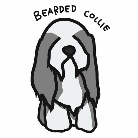 Bearded Collie dog cartoon doodle illustrationのイラスト素材