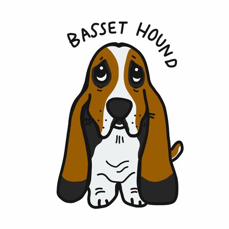 Basset Hound dog cartoon doodle styleのイラスト素材