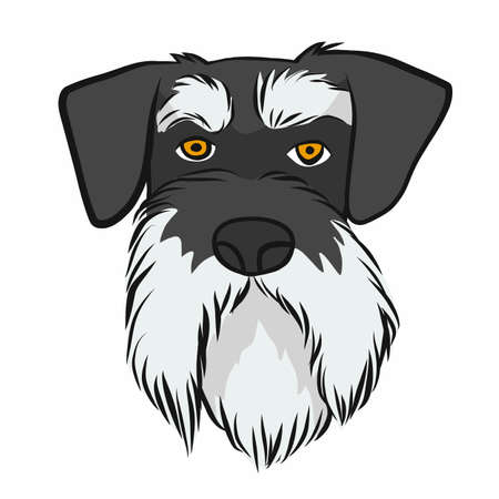 Miniature Schnauzer dog face cartoon vector illustrationのイラスト素材