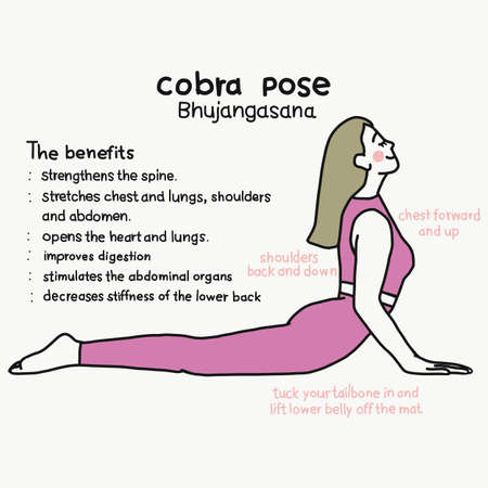 Cobra pose yoga pose and benefits cartoon vector illustrationのイラスト素材