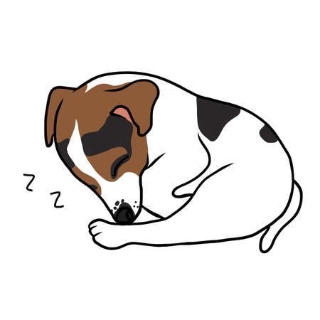Jack Russell puppy dog sleeping cartoon vector illustrationのイラスト素材