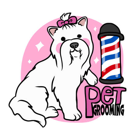 Maltese dog, per grooming salon cartoon  vector illustrationのイラスト素材