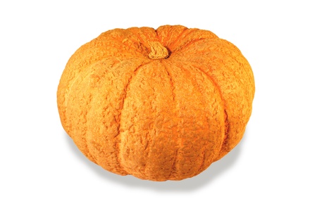 pumpkin vegetable.の写真素材