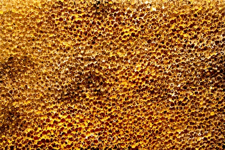 the porous surface.の写真素材