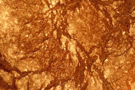 texture; breed.の写真素材