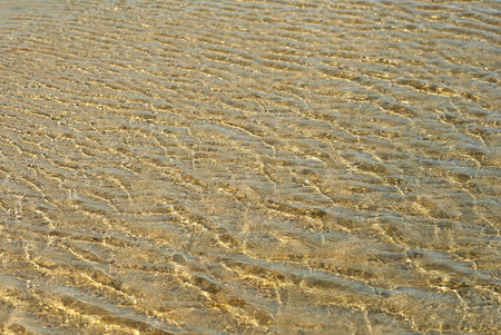 Waves in the sun