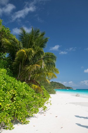 Beach of tropical crystal clear sea, Tachai island, Andaman, Tha - Stock Imageの写真素材
