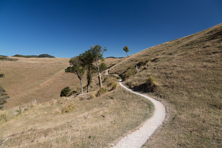 Hiking treck through the meadow and the hillsの写真素材