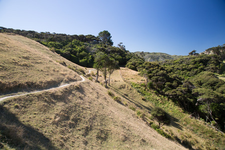 Hiking treck through the meadow and the hillsの写真素材