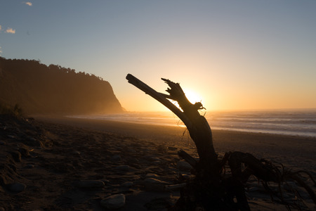 Oceanfront at Okarito New Zealand,の写真素材