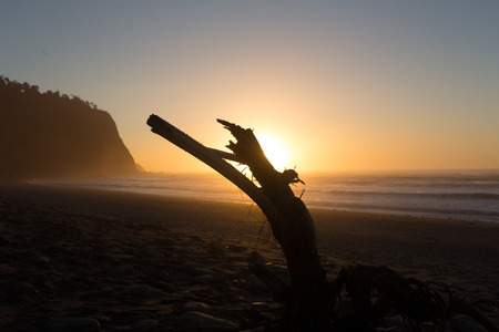 Oceanfront at Okarito New Zealand,の写真素材