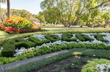 Albert park name made with bushesの写真素材