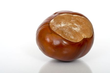 Chestnuts close up isolatedの写真素材