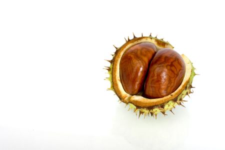 Chestnuts close up isolatedの写真素材