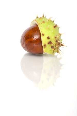 Chestnuts close up isolatedの写真素材