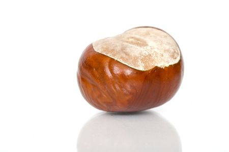 Chestnuts close up isolatedの写真素材