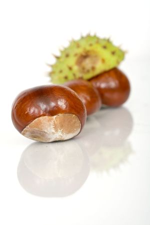 Chestnuts close up isolatedの写真素材