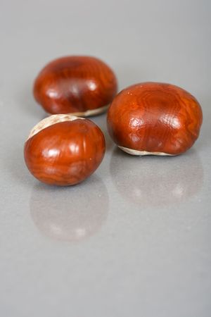 Chestnuts close up isolatedの写真素材