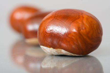 Chestnuts close up isolatedの写真素材